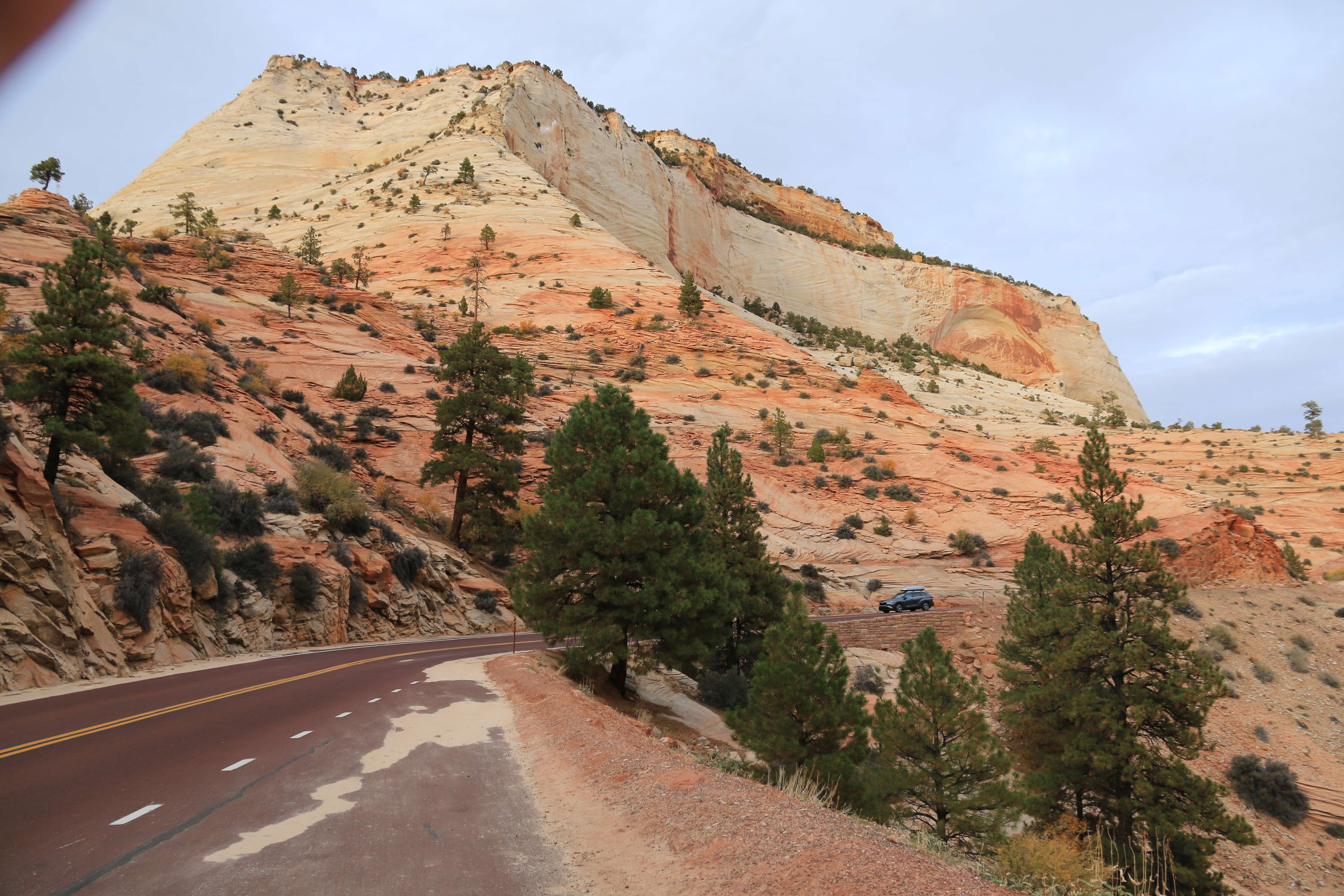 Zion NP